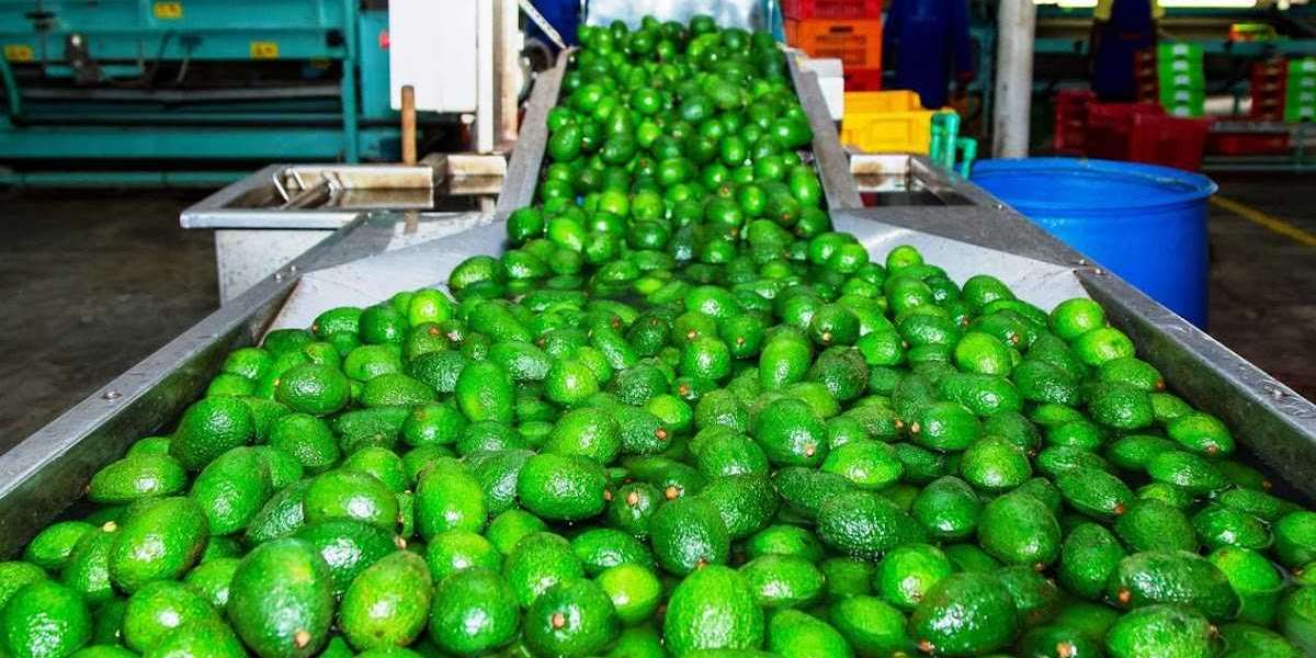 North America Avocado Processing Market 2020: Industry Overview, Size, Share, Trends, Growth and Forecast Till 2025