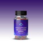 Willie stelter Profile Picture