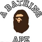 Drew Hoodie Profile Picture