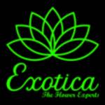 Exotica Gifting Profile Picture