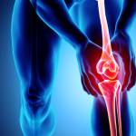 sonam abcde Profile Picture