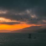 olivia rodrigo Profile Picture