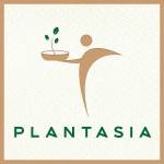 Plant Asia Profile Picture