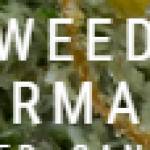 Weed Supermarket Profile Picture
