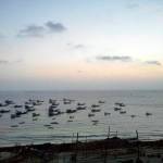 chris bratt Profile Picture