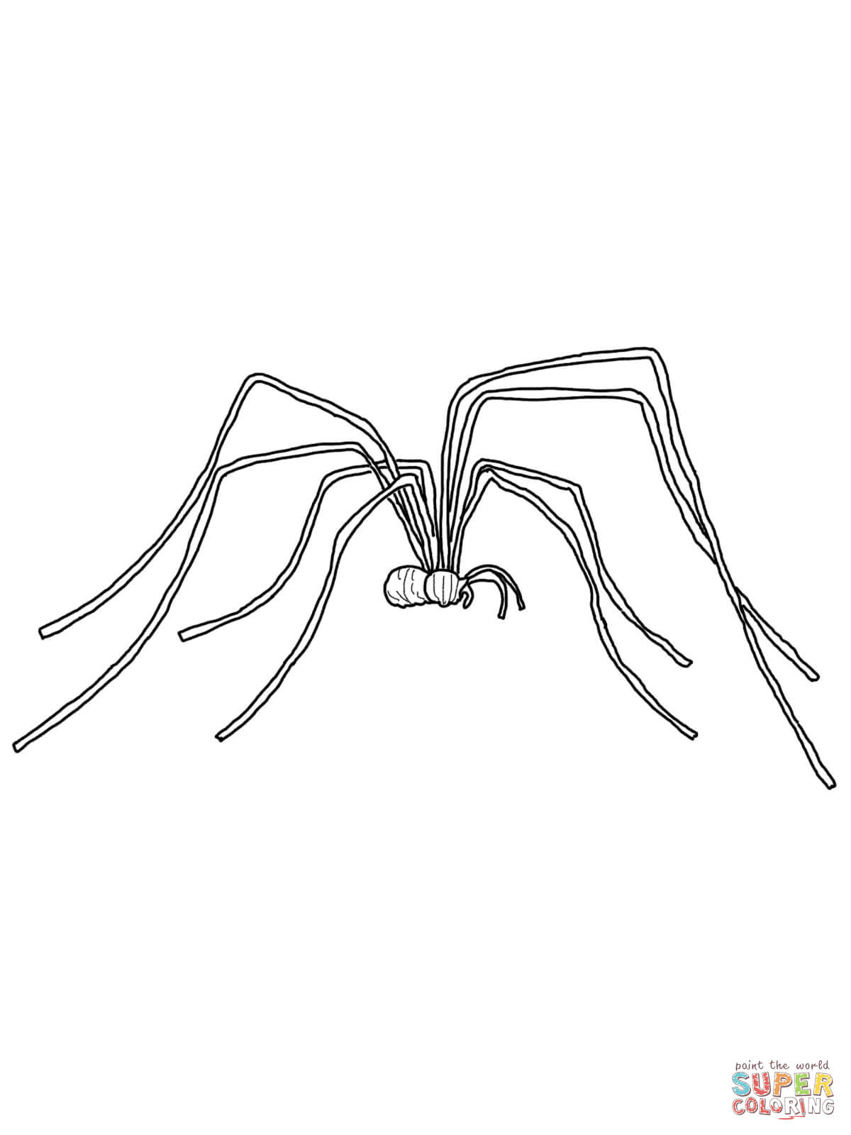 daddy-long-legs-coloring-page
