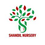 Shandil Nursery Profile Picture