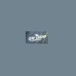 Go Dive Mexico Profile Picture