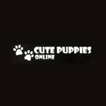 Cs puppies LLC Profile Picture