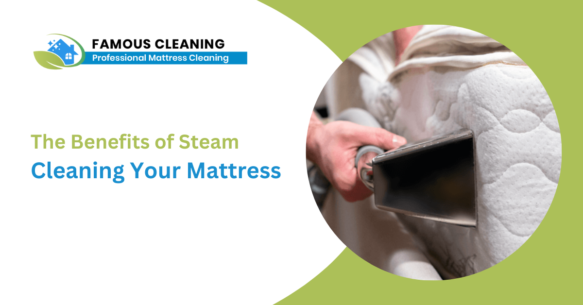 The Benefits of Steam Cleaning Your Mattress | by Famous Mattress Cleaning | Jan, 2023 | Medium