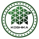 Koshika LLC Profile Picture