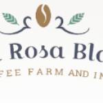 Finca Rosa Blanca Profile Picture