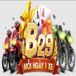 B29 tips Profile Picture