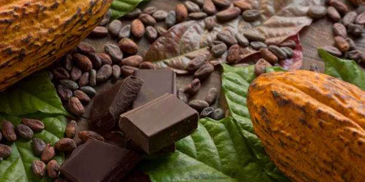 Organic Chocolate Market Size, Company Revenue Share, Key Drivers & Trend Analysis Till 2030