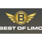 best of limo Services Profile Picture
