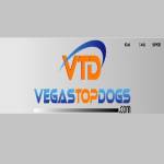 3G Vegas Group Profile Picture