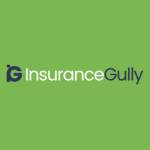 Insurance Gully Profile Picture