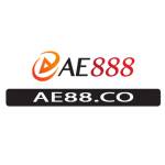 AE888 CO Profile Picture
