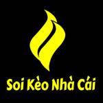 Soi Kèo Nhà Cái Profile Picture