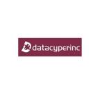 Data Cyper Inc Profile Picture