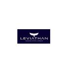 Leviathan Financial Management LLC Profile Picture