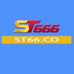 ST666 co Profile Picture