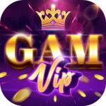 gamvip club Profile Picture