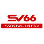 V66 info Profile Picture