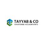 Tayyab  Co Chartered Accountants Profile Picture