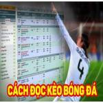 Cách Đọc Kèo Bóng Đá Profile Picture