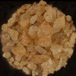 buy mdma canada Profile Picture