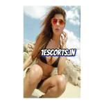 Escorts Bangalore Profile Picture