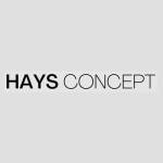 haysconcept Profile Picture