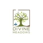 MJR Divine Meadows Profile Picture