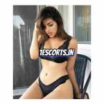 Escorts Noida Profile Picture