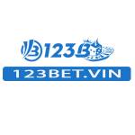 123Bet Vin Profile Picture