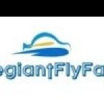 Allegiant Flyfares Profile Picture