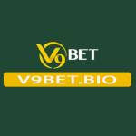 V9Bet Bio Profile Picture