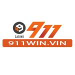 911win vin Profile Picture