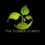 callalily care Profile Picture