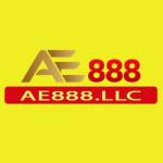 AE888 LLC Profile Picture