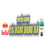 Red Bull tài năng bóng đá Profile Picture