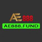 AE888 Fund Profile Picture