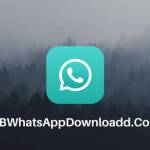 gbwhatsapp apk Profile Picture