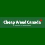 Buy Weed Online Canada Profile Picture