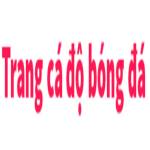 trangcado bongda Profile Picture