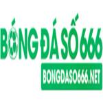 Bóng đá số 666 Profile Picture