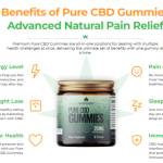 Performance CBD Gummies Profile Picture