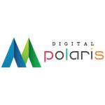 Digital Polaris Profile Picture