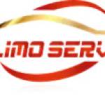 SN LIMO SERVICE (Logan Airport Limo) Profile Picture